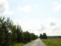 DSC03791