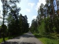DSC03793