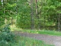 DSC03795