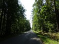 DSC03798
