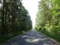 DSC03802