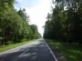 DSC03814