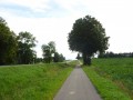 DSC03818
