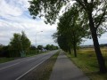 DSC03821