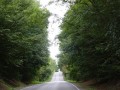DSC03825
