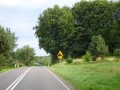 DSC03831
