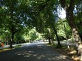 DSC03053