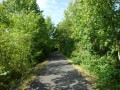 DSC03059