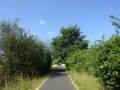 DSC03061