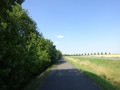 DSC03063
