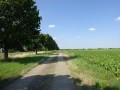 DSC03064