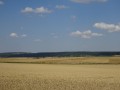 DSC03070