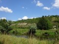 DSC03073