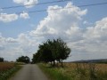 DSC03091
