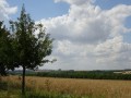 DSC03092