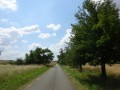 DSC03093