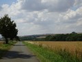 DSC03094