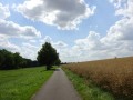 DSC03095