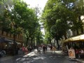 DSC03101