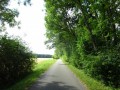DSC03102