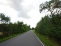 DSC03106