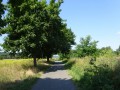 DSC03135