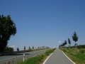 DSC03144
