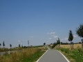 DSC03145