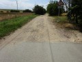 DSC03146