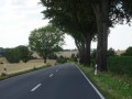 DSC03156