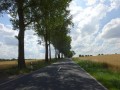 DSC03157
