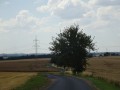 DSC03159