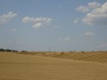 DSC03160