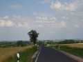 DSC03162
