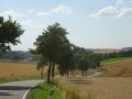 DSC03164