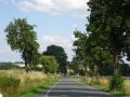 DSC03165