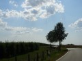 DSC03166