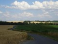 DSC03169