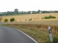 DSC03170