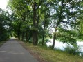 DSC03175