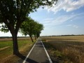 DSC03176