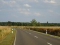 DSC03179