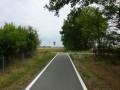 DSC03186