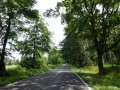 DSC03190