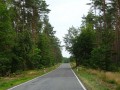 DSC03192