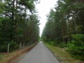 DSC03194