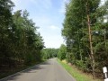 DSC03207