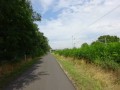 DSC03208