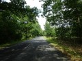 DSC03210
