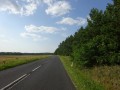 DSC03296